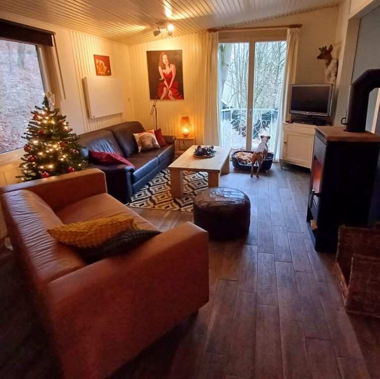 Woonkamer boshuisje Asel